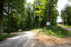 eagle star lodge II 30